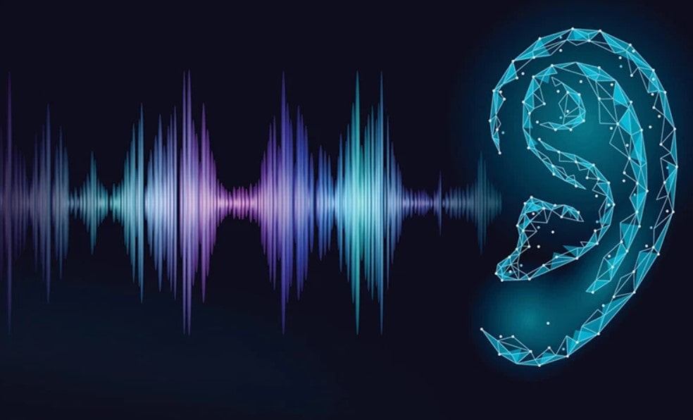 Trong Âm Thanh Bass Là Gì? Các Yếu Tố Ảnh Hưởng Đến Âm Bass Trong Âm Thanh Bass Là Gì? Các Yếu Tố Ảnh Hưởng Đến Âm Bass