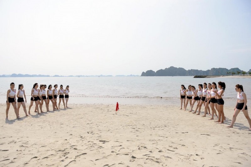 Các Trò Chơi Team Building Ngoài Trời Giúp Gắn Kết Hơn Các Trò Chơi Team Building Ngoài Trời Giúp Gắn Kết Hơn