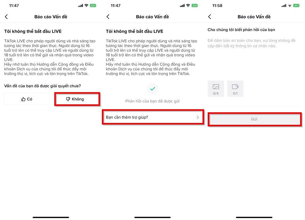 Hướng Dẫn Cách Livestream Trên Tik Tok Chi Tiết Cho Người Mới