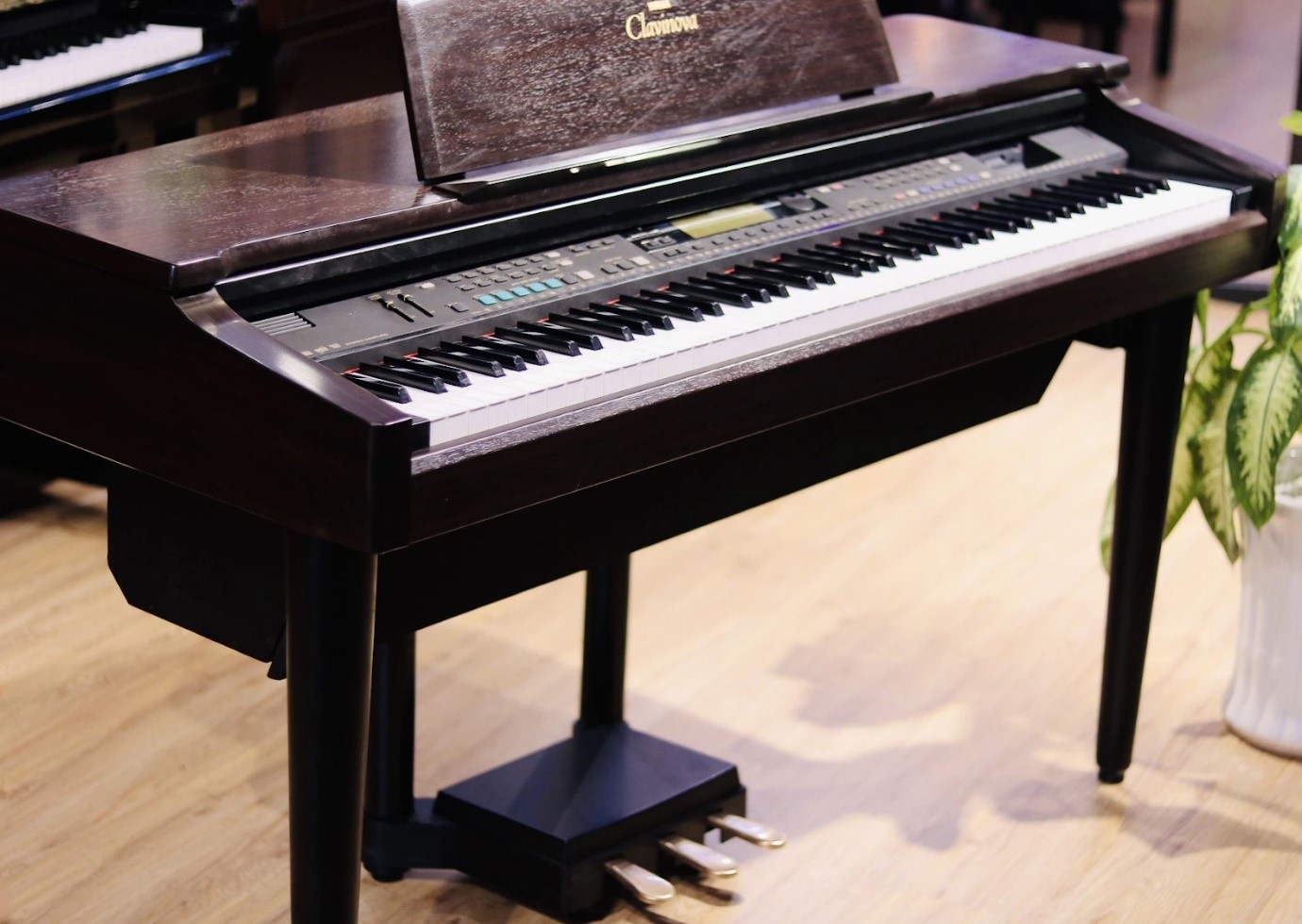 Cho Thuê Đàn Piano Giá Rẻ Tại TPHCM Cho Thuê Đàn Piano Giá Rẻ Tại TPHCM