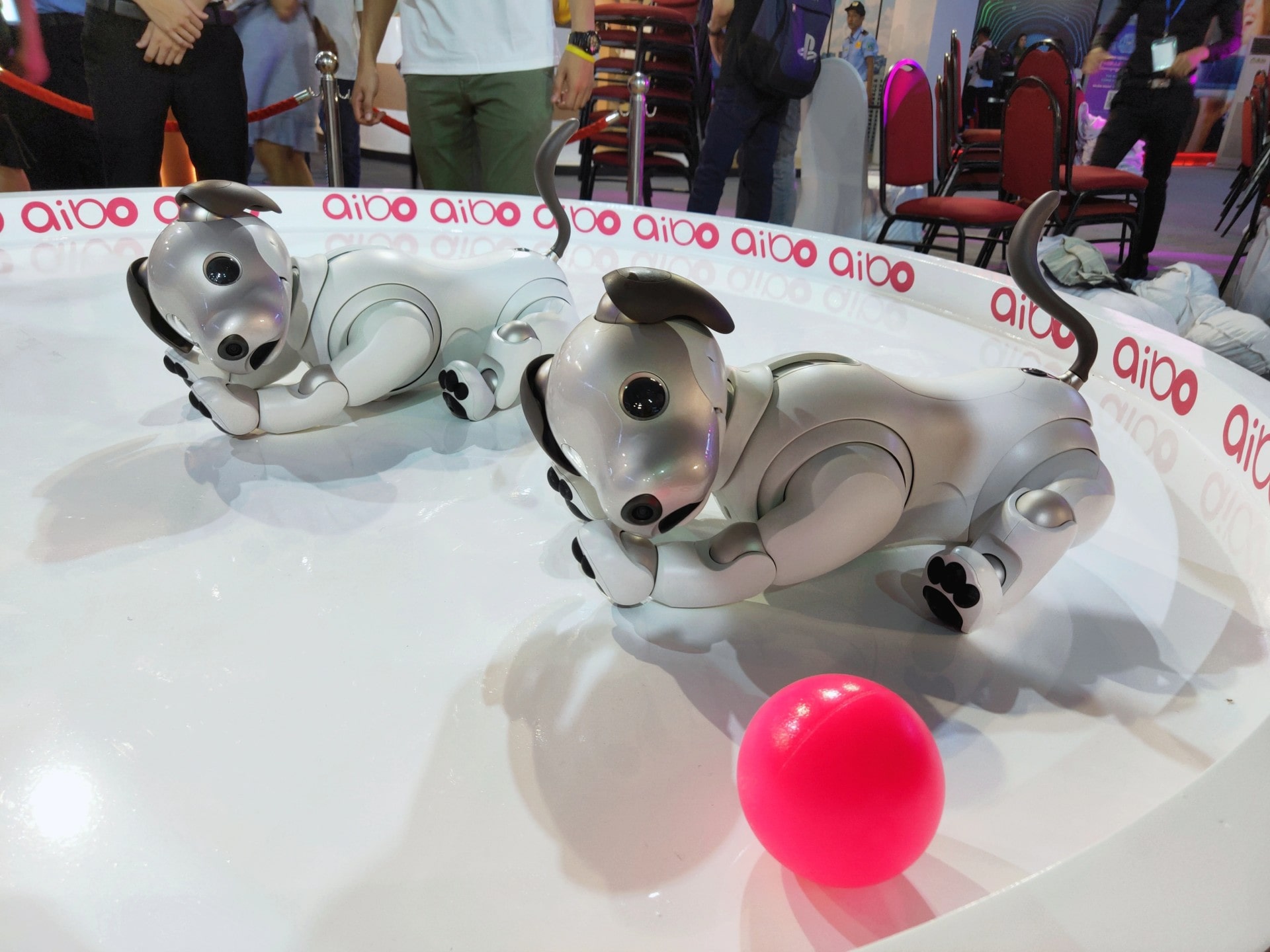 Cho Thuê Robot Sự Kiện, Robot Thông Minh Tại TPHCM