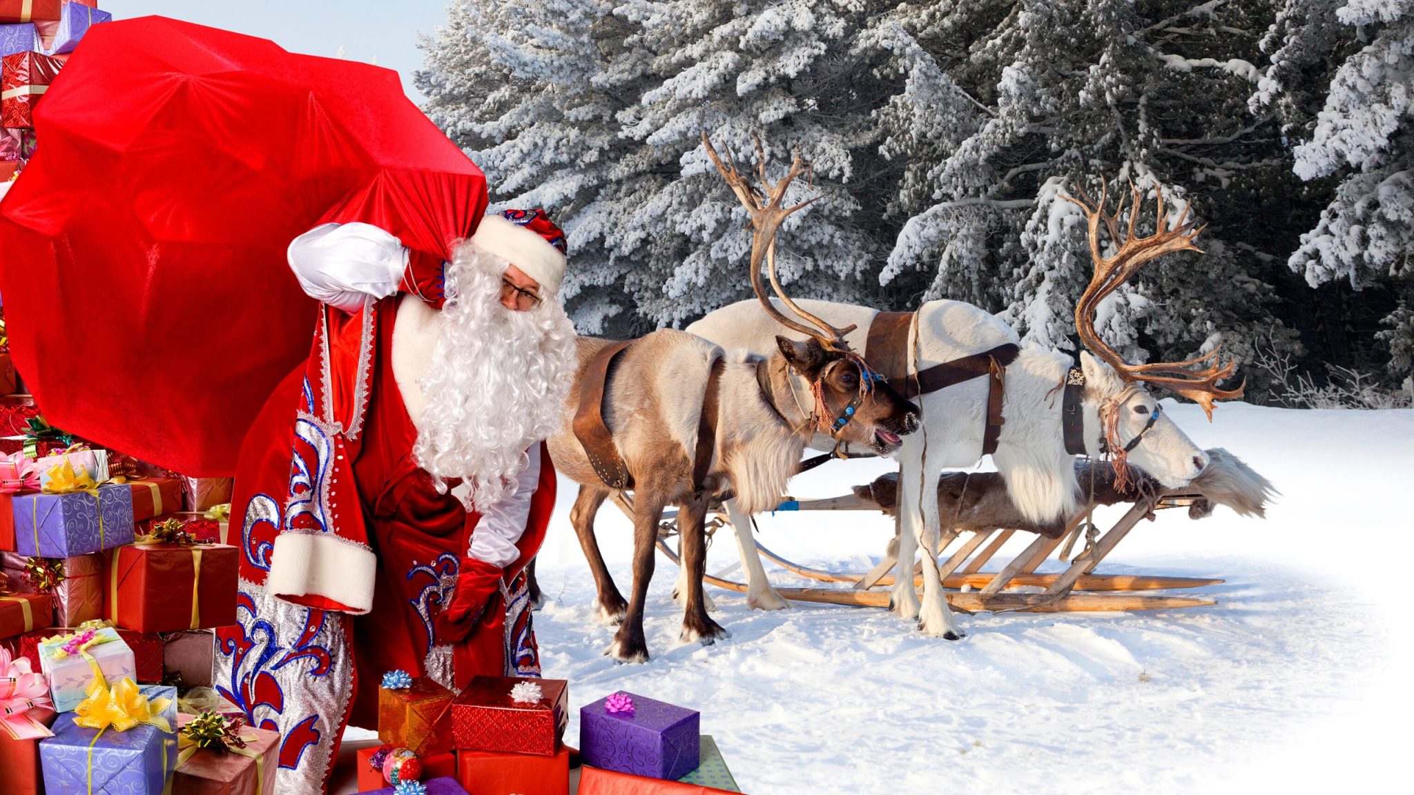 Ông Già Noel Có Thật Không? Các Điều Thú Vị Về Ông Già Noel