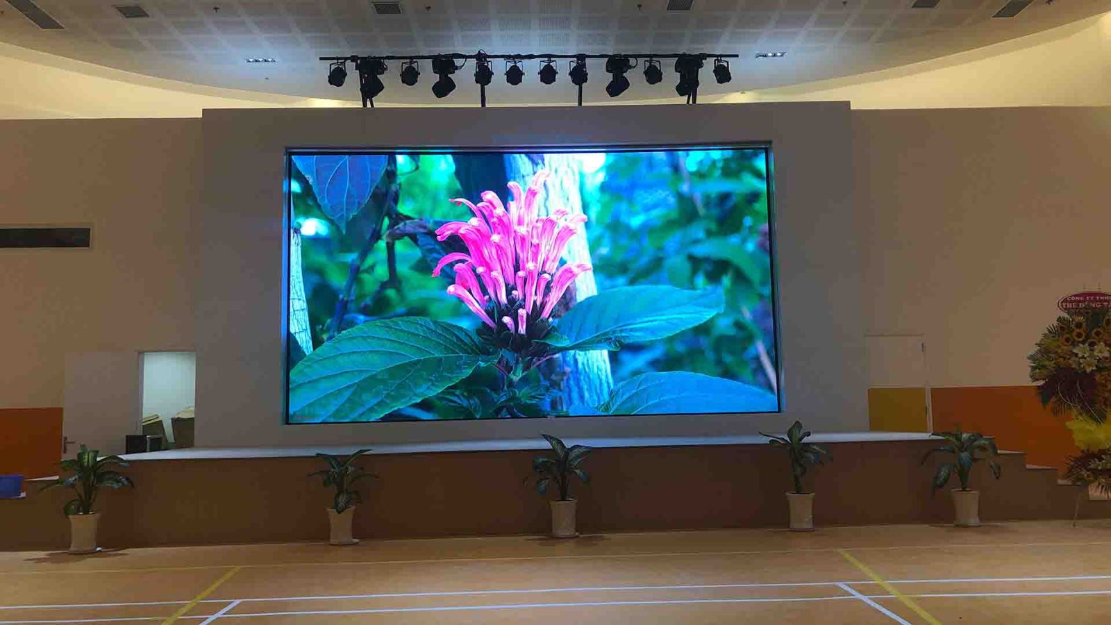 Sân Khấu Màn Hình LED Xu Hướng Cho Ngành Công Nghiệp Giải Trí