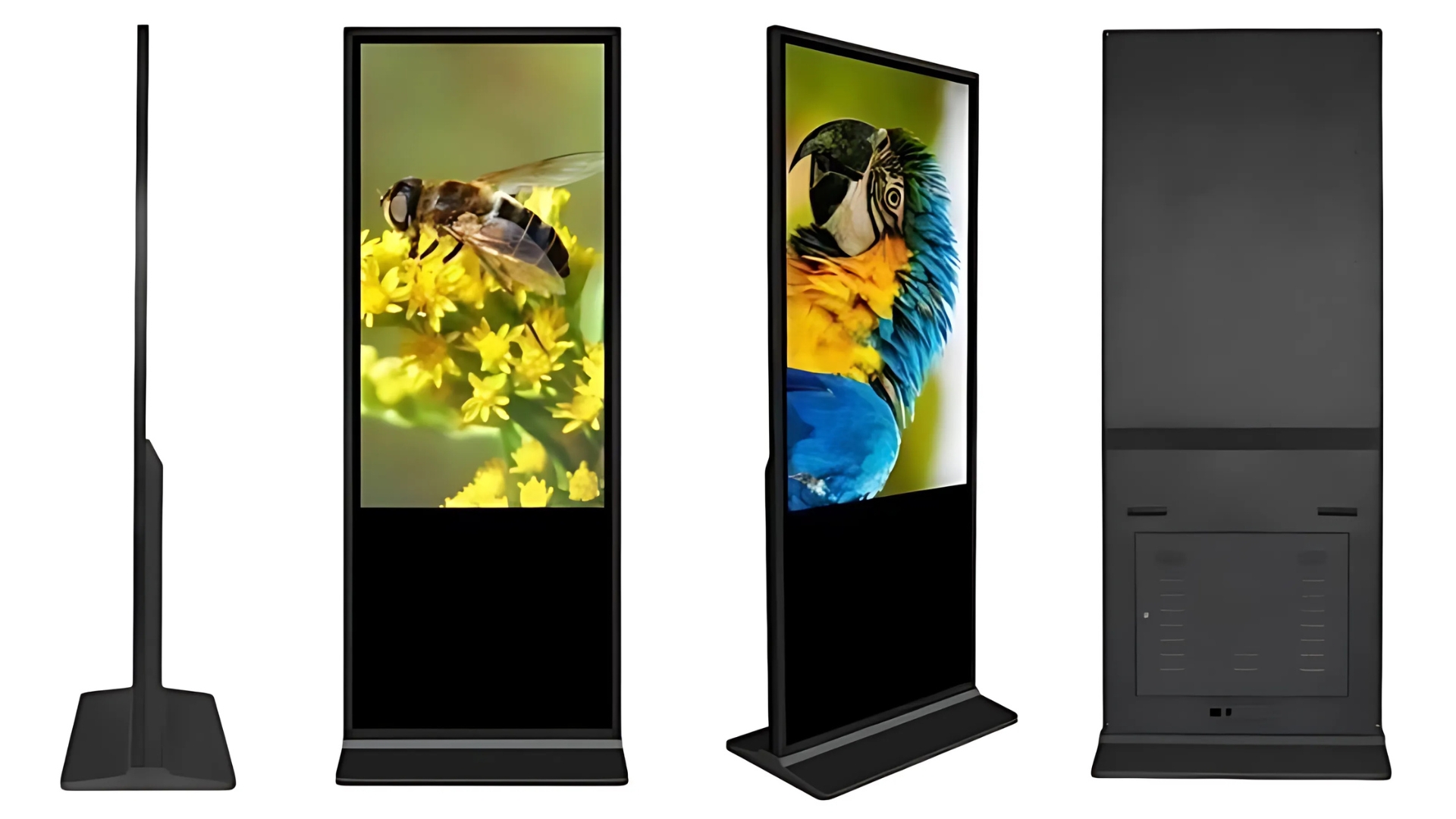 Standee Điện Tử Là Gì? Cấu Tạo, Ưu Điểm Và Ứng Dụng Standee Điện Tử Là Gì? Cấu Tạo, Ưu Điểm Và Ứng Dụng