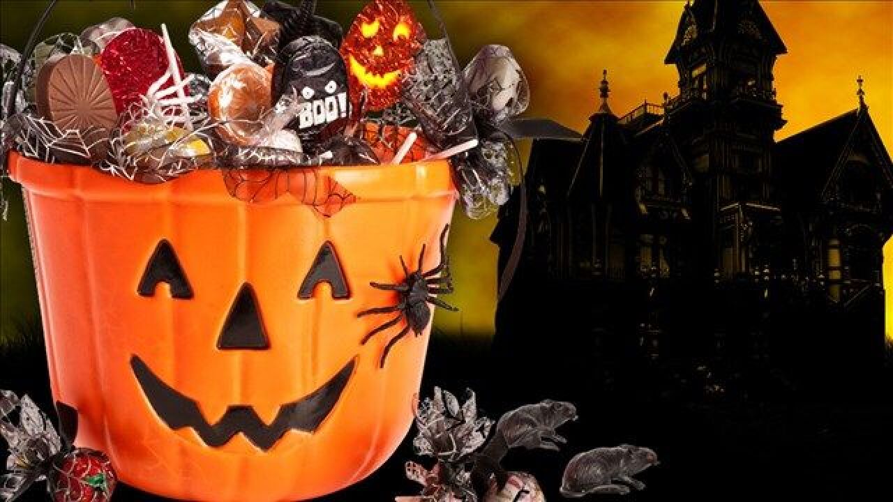 Trick Or Treat Là Gì? Ý Nghĩa Và Nguồn Gốc Của Trò Chơi Bị Ghẹo Hay Cho Kẹo