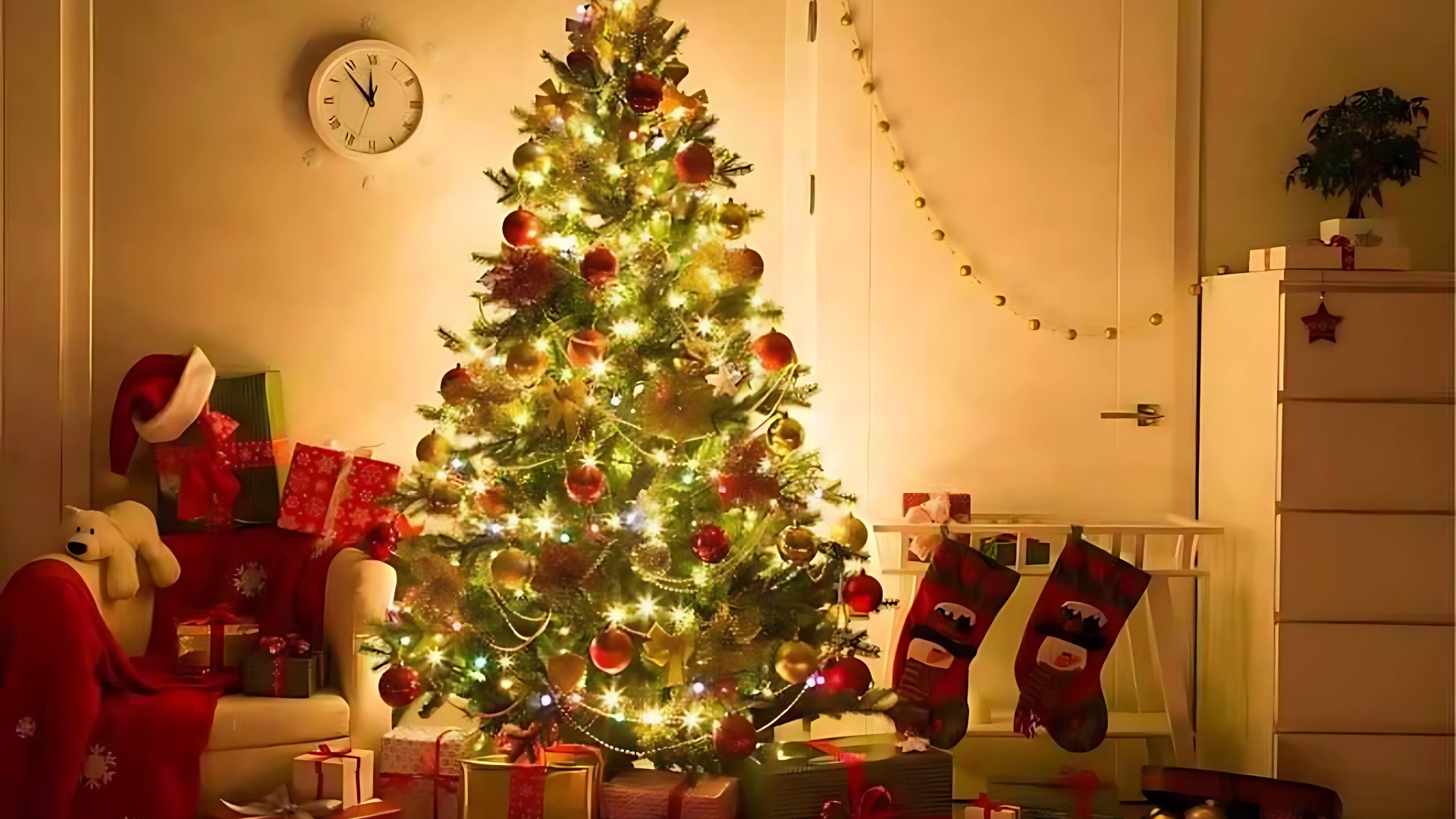 Nguồn Gốc, Ý Nghĩa Của Cây Thông Noel Và Ý Tưởng Trang Trí Cây Thông Độc Đáo Nguồn Gốc, Ý Nghĩa Của Cây Thông Noel Và Ý Tưởng Trang Trí Cây Thông Độc Đáo